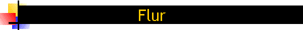 Flur