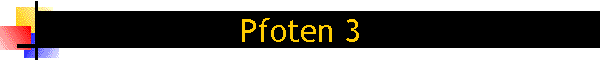 Pfoten 3